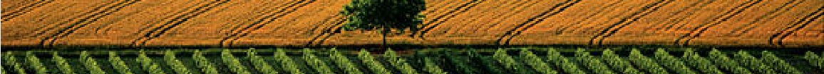 bandeau/paysage-agricole