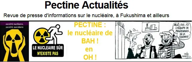 Pectine Actualités