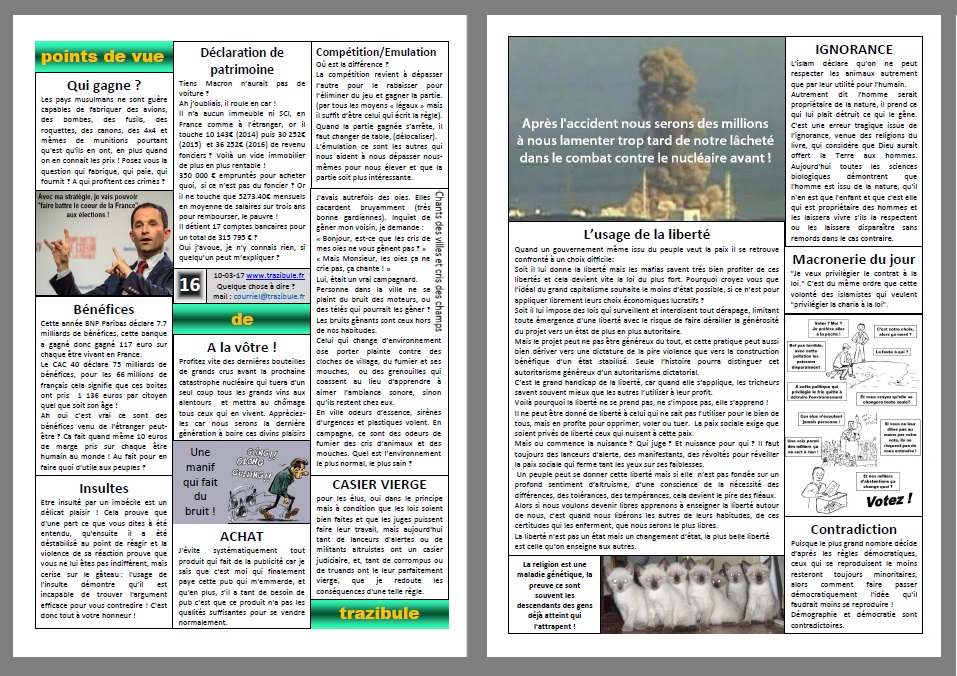 Point de vue de Trazibule n°16