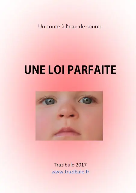 Face au problème de la démographie, source de tous les autres problèmes, vous avez le choix de chercher une solution ou de bien le cacher sous le tapis du déni.